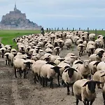 La Rive - Le Mont Saint Michel