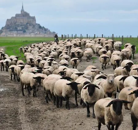 La Rive - Le Mont Saint Michel